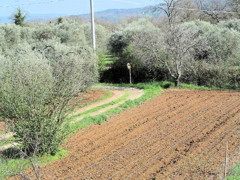 Rustico/Casale in vendita a Gavorrano - foto 2