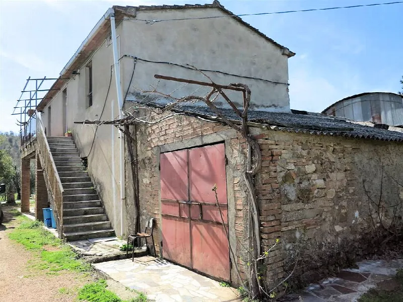 Rustico/Casale in vendita a Gavorrano - foto 3