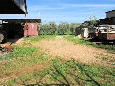 Rustico/Casale in vendita a Gavorrano - foto 5