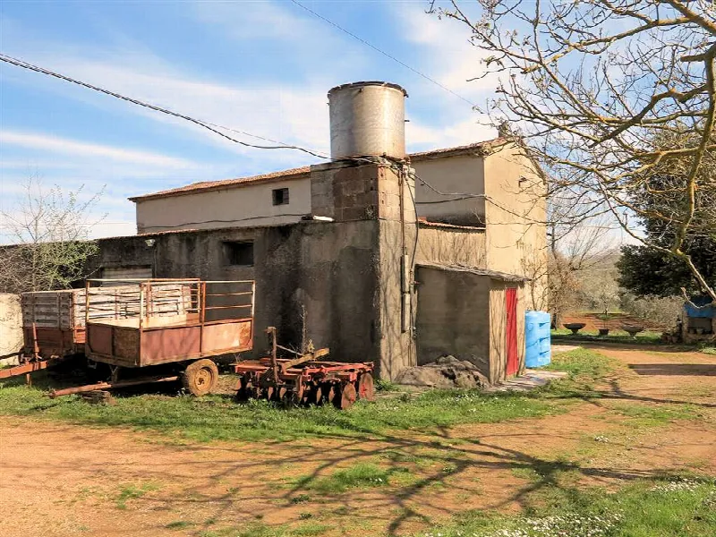 Rustico/Casale in vendita a Gavorrano - foto 6