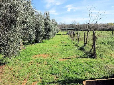 Rustico/Casale in vendita a Gavorrano - foto 9