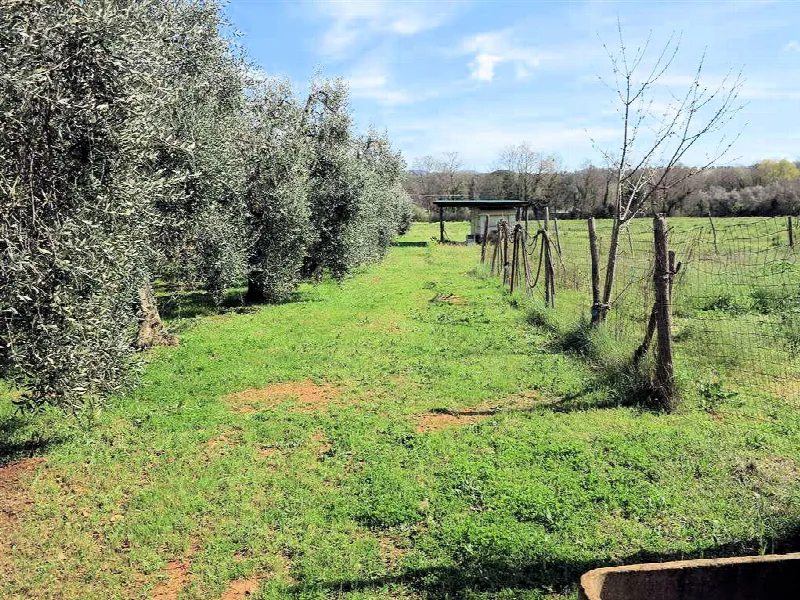 Rustico/Casale in vendita a Gavorrano - foto 9
