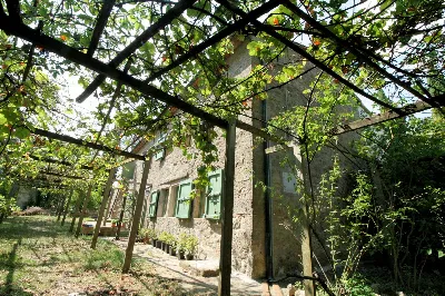 Rustico/Casale in vendita a Roccastrada - foto 2