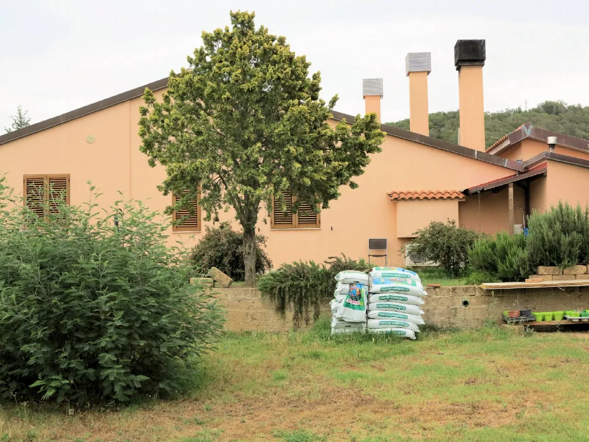 Rustico/Casale in vendita a Massa Marittima - foto 4