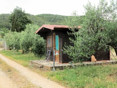 Rustico/Casale in vendita a Massa Marittim... - foto 9