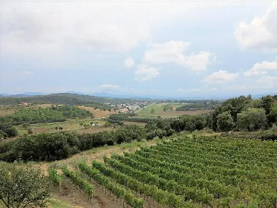 Rustico/Casale in vendita a Massa Marittim... - foto 10