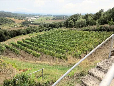 Rustico/Casale in vendita a Massa Marittim... - foto 3