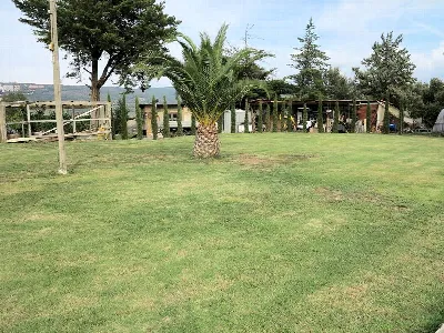 Rustico/Casale in vendita a Massa Marittim... - foto 6