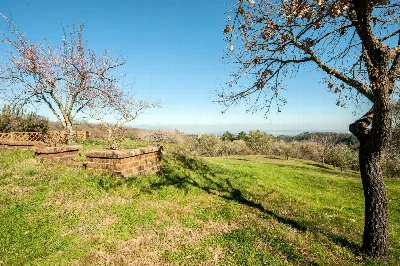 Rustico/Casale in vendita a Chianni - foto 4