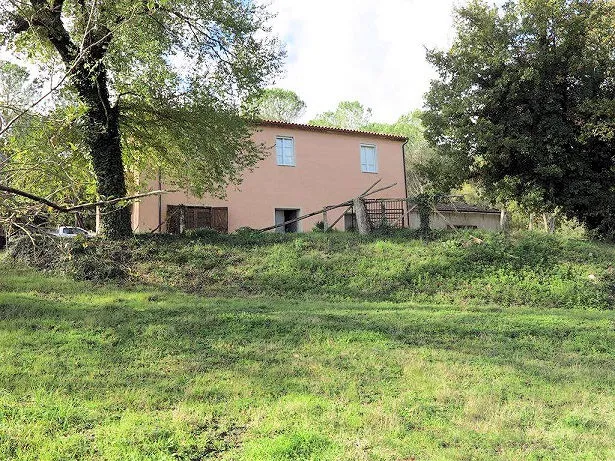 Rustico/Casale in vendita a Roccastrada - foto 1