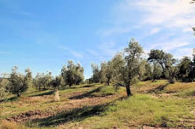Rustico/Casale in vendita a Roccastrada - foto 5