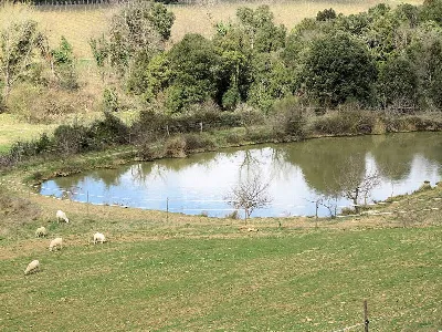 Rustico/Casale in vendita a Gavorrano - foto 2
