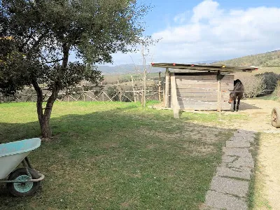 Rustico/Casale in vendita a Gavorrano - foto 8