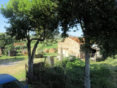 Rustico/Casale in vendita a Gavorrano - foto 4
