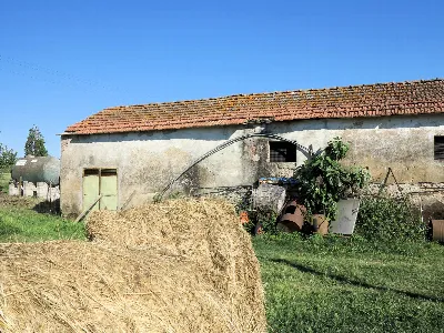 Rustico/Casale in vendita a Gavorrano - foto 7