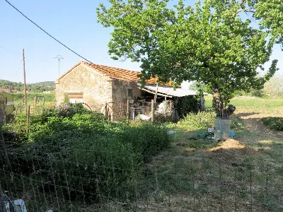 Rustico/Casale in vendita a Gavorrano - foto 8