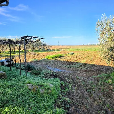 Rustico/Casale in vendita a Scarlino - foto 10