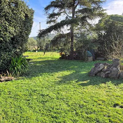 Rustico/Casale in vendita a Scarlino - foto 3