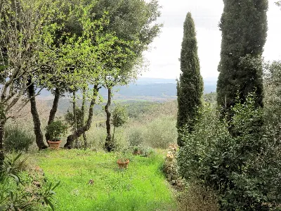 Rustico/Casale in vendita a Civitella Paga... - foto 4