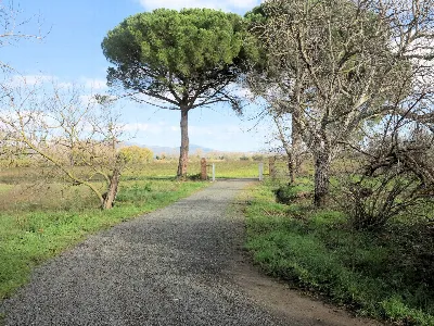Rustico/Casale in vendita a Roccastrada - foto 2