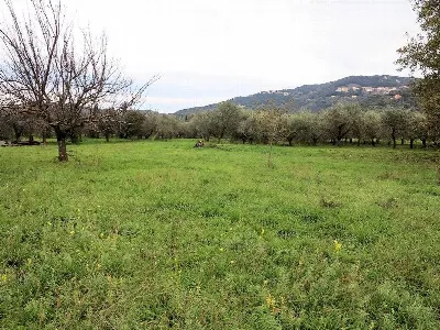 Rustico/Casale in vendita a Gavorrano - foto 3