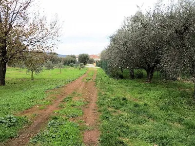 Rustico/Casale in vendita a Gavorrano - foto 8