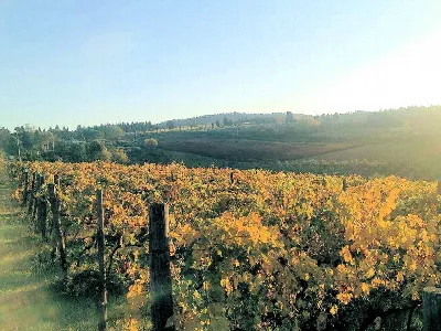 Rustico/Casale in vendita a Grosseto, Cent... - foto 1
