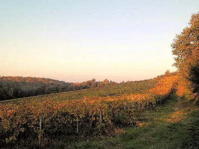 Rustico/Casale in vendita a Grosseto, Cent... - foto 4