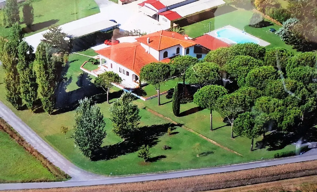 Villa in vendita a Pietrasanta - foto 5