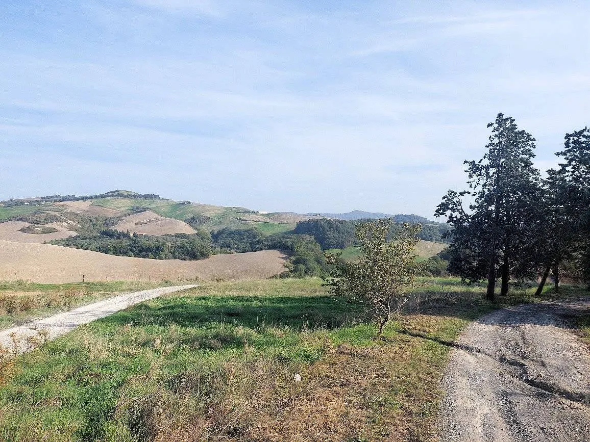 Rustico/Casale in vendita a Volterra - foto 3