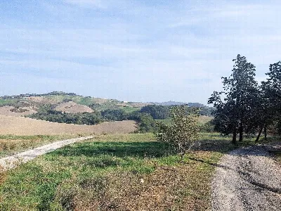 Rustico/Casale in vendita a Volterra - foto 3