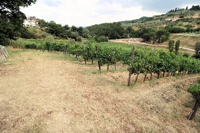 Rustico/Casale in vendita a Poggio a Caian... - foto 8