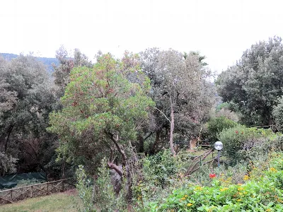 Villa in vendita a Castiglione della Pesca... - foto 8