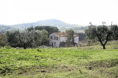 Rustico/Casale in vendita a Magliano in To... - foto 1