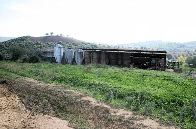 Rustico/Casale in vendita a Magliano in To... - foto 10