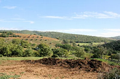 Rustico/Casale in vendita a Magliano in To... - foto 4
