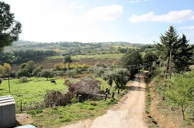 Rustico/Casale in vendita a Magliano in To... - foto 6