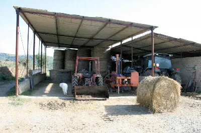 Rustico/Casale in vendita a Magliano in To... - foto 7