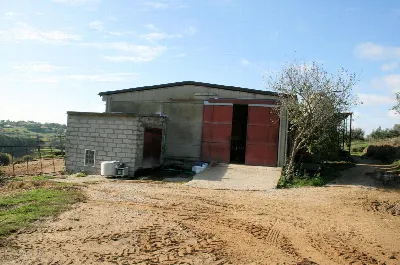 Rustico/Casale in vendita a Magliano in To... - foto 9
