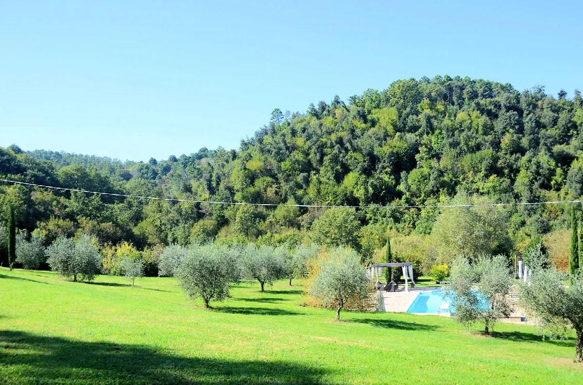 Rustico/Casale in vendita a Chianni - foto 5