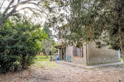 Rustico/Casale in vendita a Volterra - foto 4