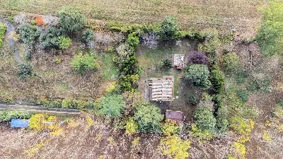 Rustico/Casale in vendita a Volterra - foto 6