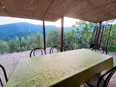 Rustico/Casale in vendita a Pescia - foto 7