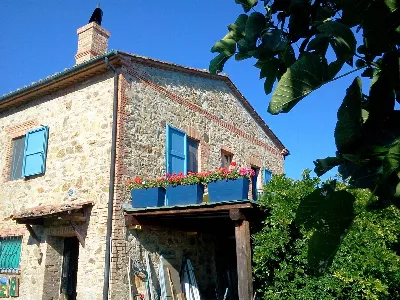 Rustico/Casale in vendita a Radicondoli - foto 4