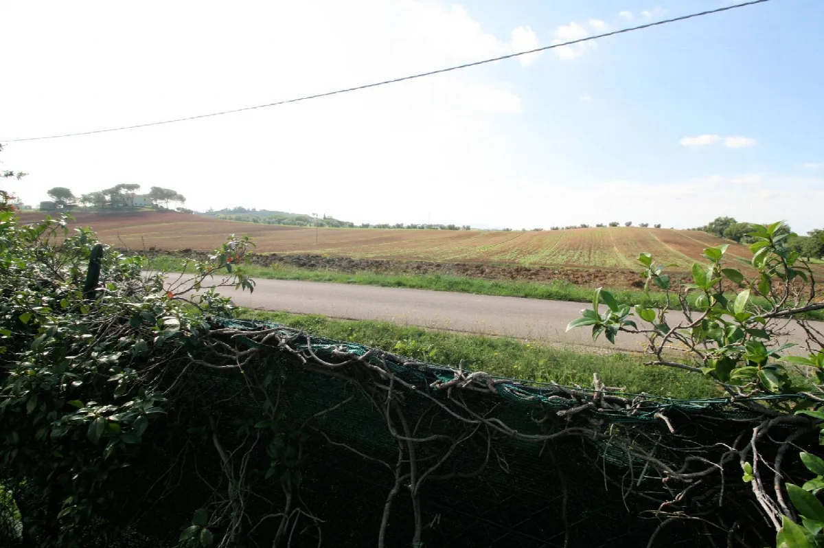 Rustico/Casale in vendita a Roccastrada - foto 5