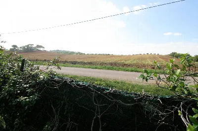 Rustico/Casale in vendita a Roccastrada - foto 5
