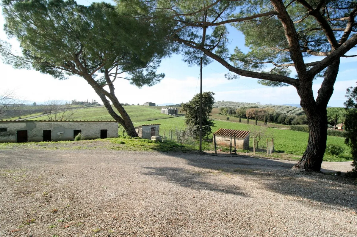 Rustico/Casale in vendita a Roccastrada - foto 2