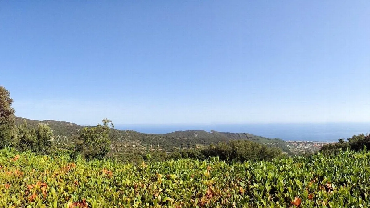 Casa Indipendente in vendita a Marciana - foto 3