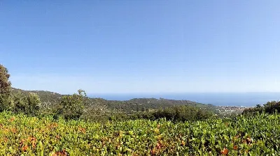 Casa Indipendente in vendita a Marciana - foto 3