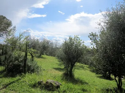 Rustico/Casale in vendita a Civitella Paga... - foto 2